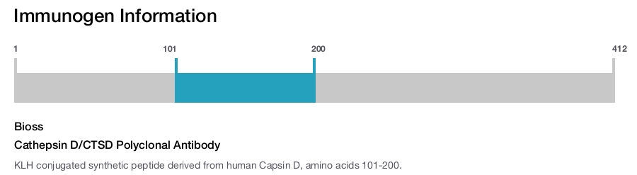 Cathepsin D/CTSD Polyclonal Antibody
