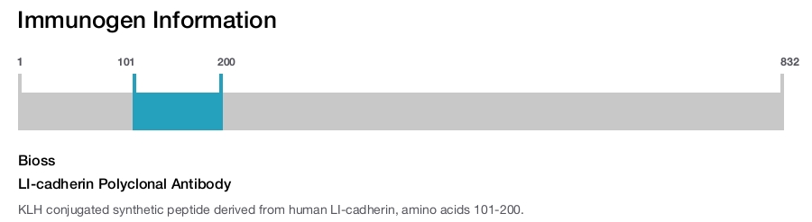 LI-cadherin Polyclonal Antibody
