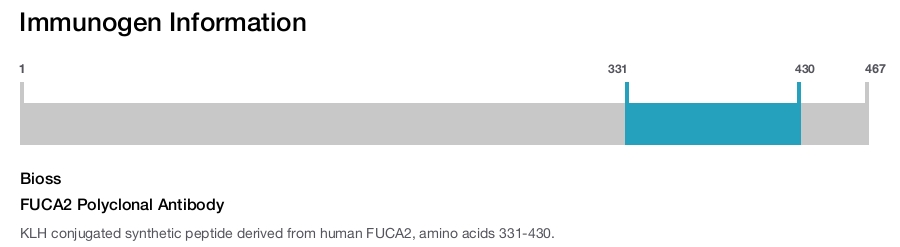 FUCA2 Polyclonal Antibody