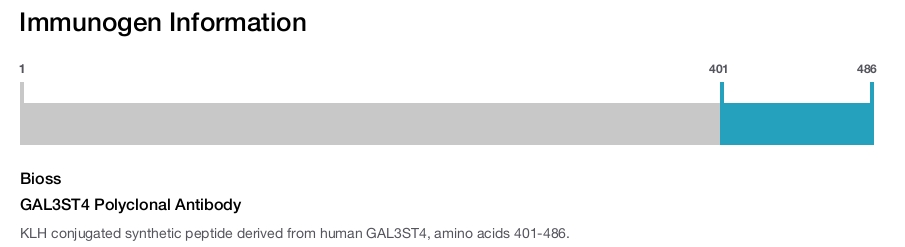 GAL3ST4 Polyclonal Antibody