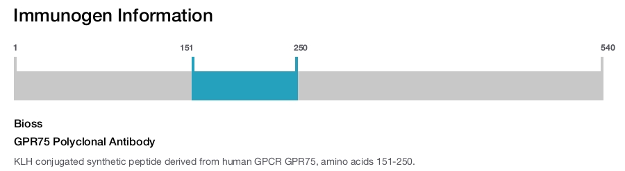 GPR75 Polyclonal Antibody