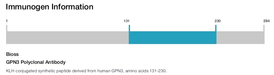 GPN3 Polyclonal Antibody