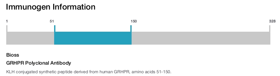 GRHPR Polyclonal Antibody