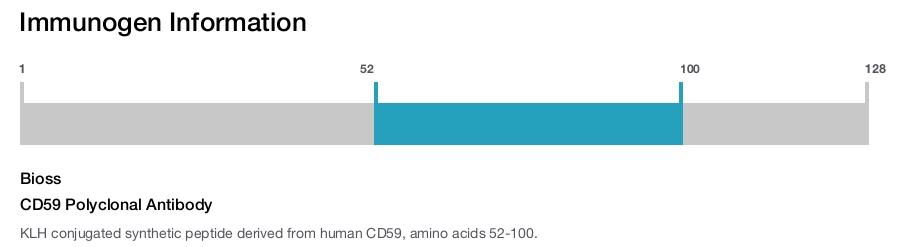 CD59 Polyclonal Antibody