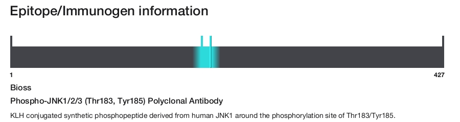 Phospho-JNK1/2/3 (Thr183, Tyr185) Polyclonal Antibody