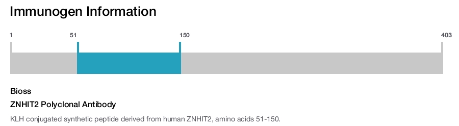 ZNHIT2 Polyclonal Antibody