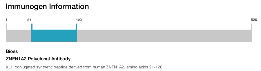 ZNFN1A2 Polyclonal Antibody