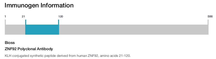 ZNF92 Polyclonal Antibody