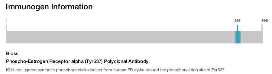 Phospho-Estrogen Receptor alpha (Tyr537) Polyclonal Antibody