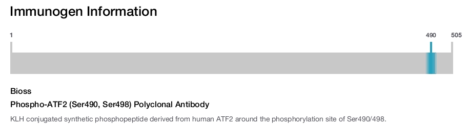 Phospho-ATF2 (Ser490, Ser498) Polyclonal Antibody