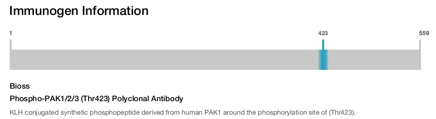 Phospho-PAK1/2/3 (Thr423) Polyclonal Antibody