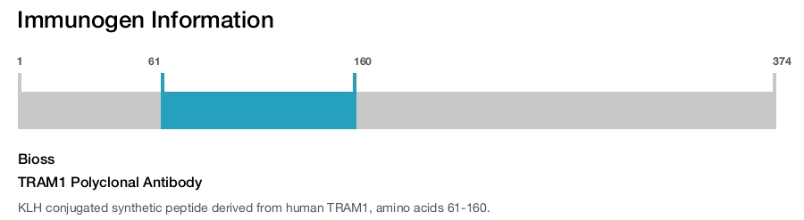 TRAM1 Polyclonal Antibody