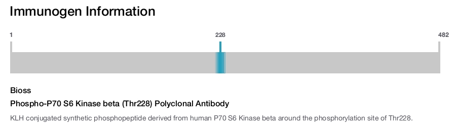 Phospho-P70 S6 Kinase beta (Thr228) Polyclonal Antibody