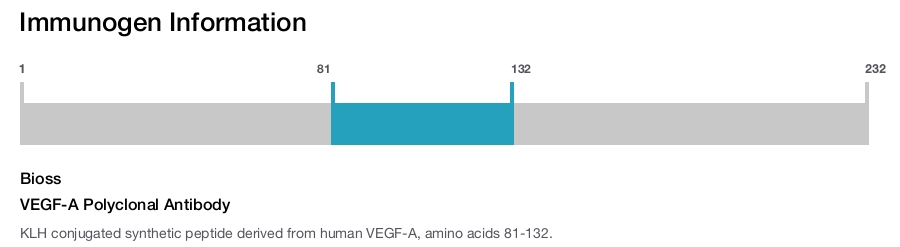 VEGF-A Polyclonal Antibody