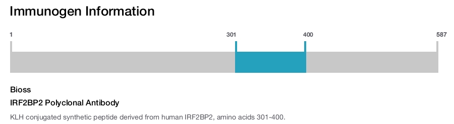 IRF2BP2 Polyclonal Antibody