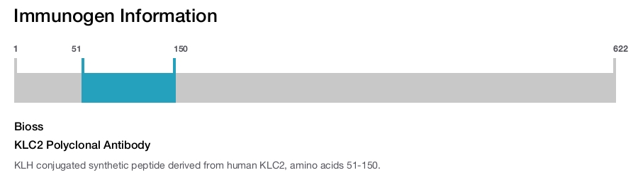 KLC2 Polyclonal Antibody