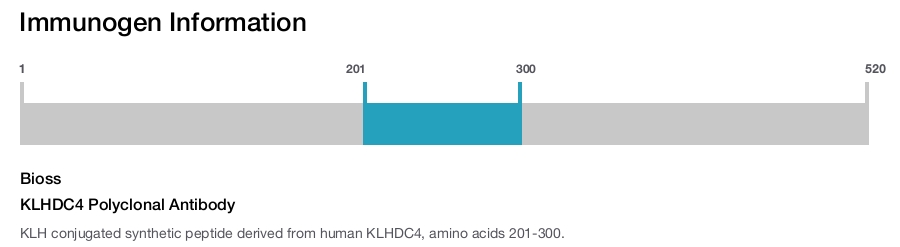 KLHDC4 Polyclonal Antibody