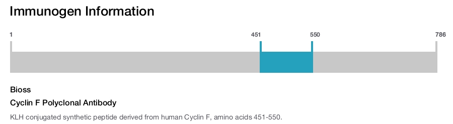 Cyclin F Polyclonal Antibody