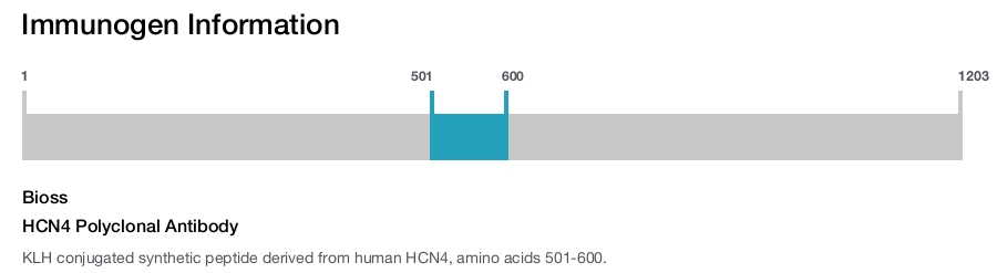 HCN4 Polyclonal Antibody