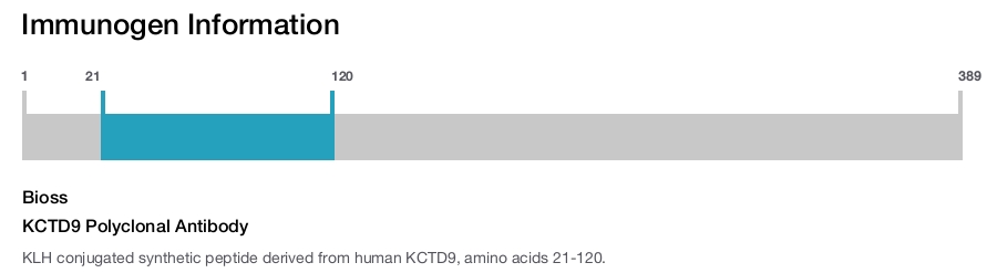 KCTD9 Polyclonal Antibody