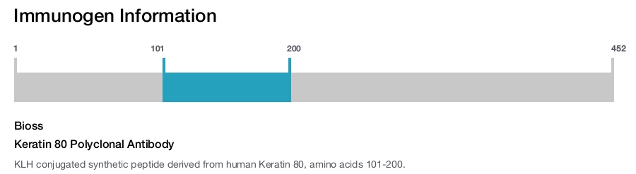 Keratin 80 Polyclonal Antibody