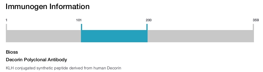 Decorin Polyclonal Antibody