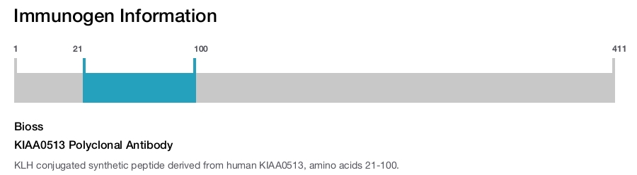 KIAA0513 Polyclonal Antibody