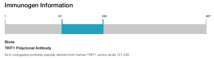 TRIT1 Polyclonal Antibody