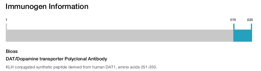 DAT/Dopamine transporter Polyclonal Antibody