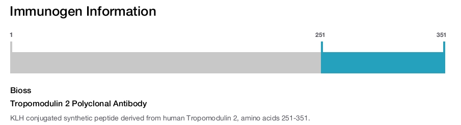 Tropomodulin 2 Polyclonal Antibody