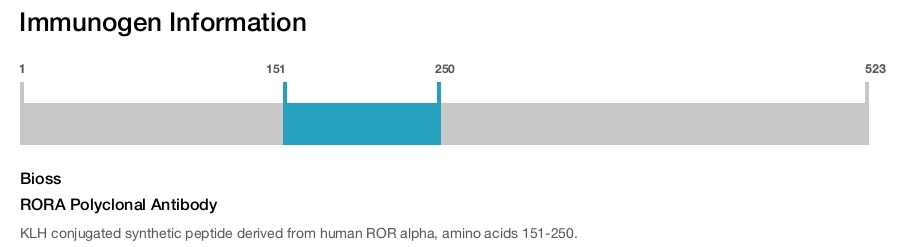RORA Polyclonal Antibody
