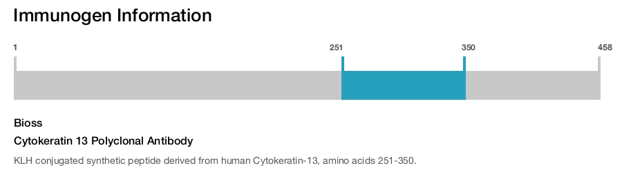 Cytokeratin 13 Polyclonal Antibody