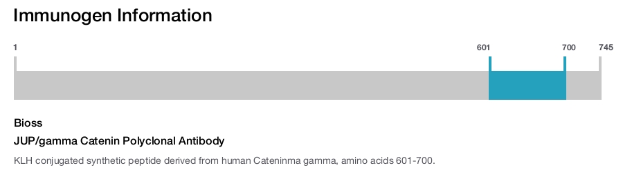 JUP/gamma Catenin Polyclonal Antibody