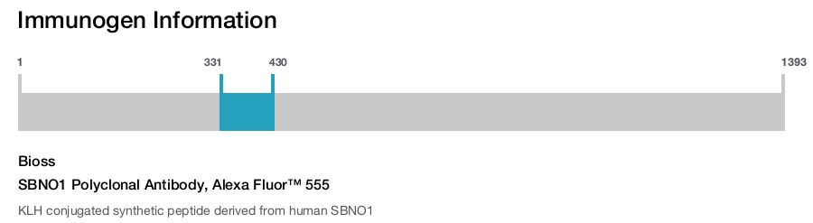 SBNO1 Polyclonal Antibody, Alexa Fluor&trade; 555
