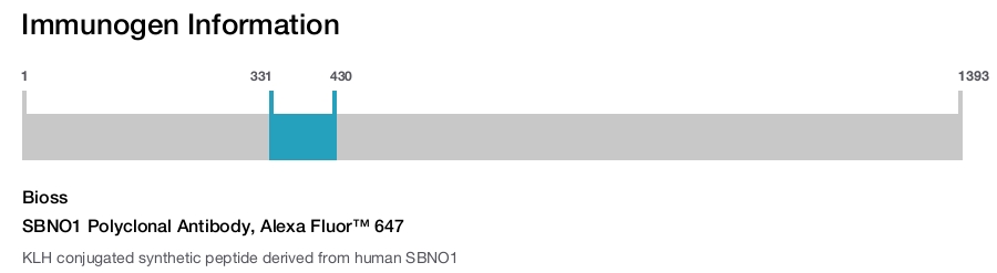 SBNO1 Polyclonal Antibody, Alexa Fluor&trade; 647