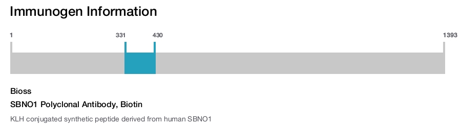 SBNO1 Polyclonal Antibody, Biotin