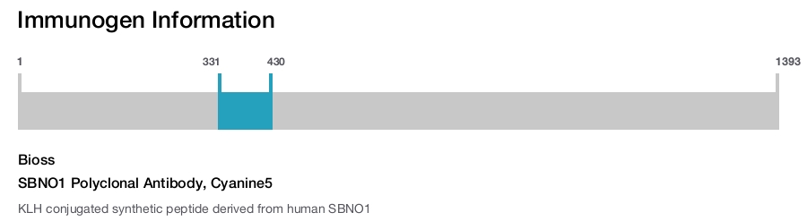 SBNO1 Polyclonal Antibody, Cyanine5