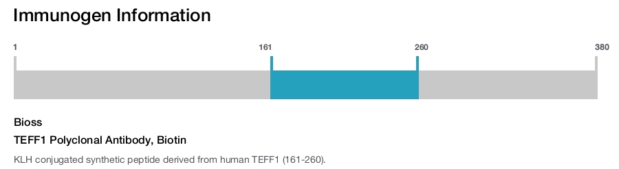 TEFF1 Polyclonal Antibody, Biotin