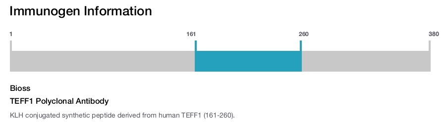 TEFF1 Polyclonal Antibody