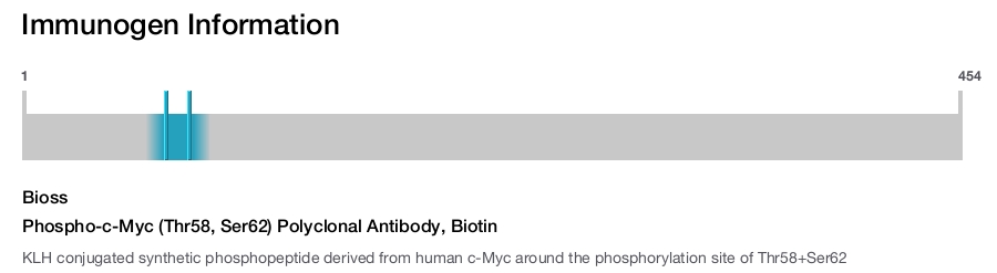 Phospho-c-Myc (Thr58, Ser62) Polyclonal Antibody, Biotin