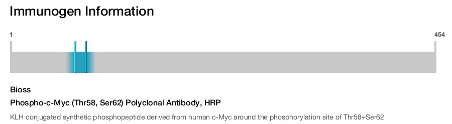 Phospho-c-Myc (Thr58, Ser62) Polyclonal Antibody, HRP