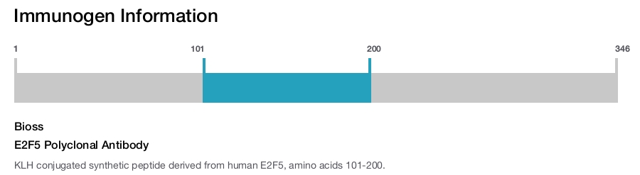 E2F5 Polyclonal Antibody