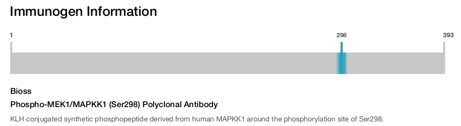 Phospho-MEK1/MAPKK1 (Ser298) Polyclonal Antibody