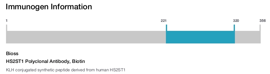 HS2ST1 Polyclonal Antibody, Biotin