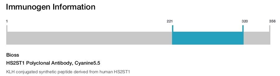 HS2ST1 Polyclonal Antibody, Cyanine5.5