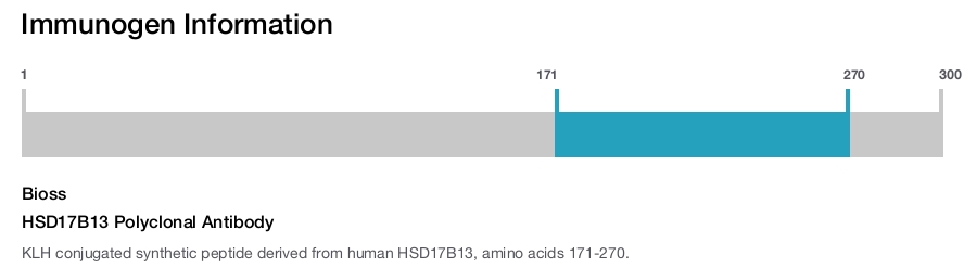HSD17B13 Polyclonal Antibody