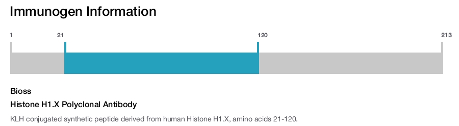 Histone H1.X Polyclonal Antibody