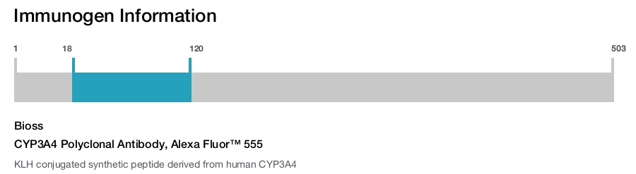CYP3A4 Polyclonal Antibody, Alexa Fluor&trade; 555
