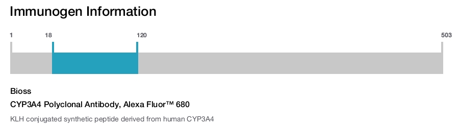 CYP3A4 Polyclonal Antibody, Alexa Fluor&trade; 680