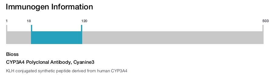 CYP3A4 Polyclonal Antibody, Cyanine3